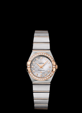 Omega Constellation 24 Quartz Brushed (123.25.24.60.52.001)