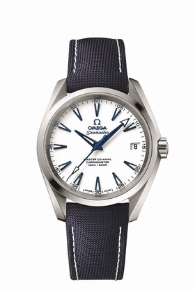 Omega Seamaster Aqua Terra 150M Master Co-Axial 38.5mm GoodPlanet Titanium Strap (231.92.39.21.04.001)