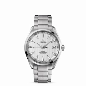 Omega Seamaster Aqua Terra 150m Co-Axial 41.5mm Silver (231.10.42.21.02.001)