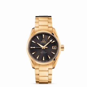 Omega Seamaster Aqua Terra 150M Co-Axial 38.5mm Yellow Gold / Bracelet (231.50.39.21.06.002)