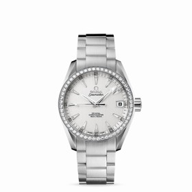 Omega Seamaster Aqua Terra 150M Jewellery Co-Axial 38.5mm Silver (231.55.39.21.52.001)