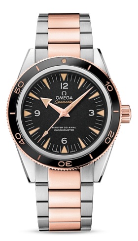 Omega Seamaster 300 Master Co-Axial Steel - Sedna / Black (233.20.41.21.01.001)