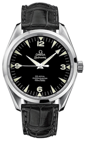 Omega Seamaster Aqua Terra Railmaster (2802.52.31)