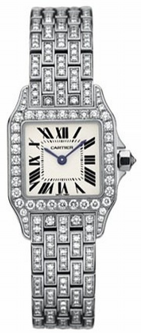 Cartier Santos Demoiselle Small Silver Dial 18kt White Gold Diamond Ladies Watch WF9003YA