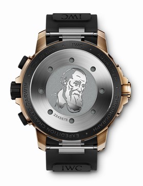 IWC Aquatimer Chronograph Edition Expedition Charles Darwin (IW3795-03)