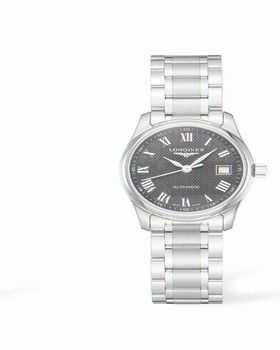 Longines Master Collection Date 29 Stainless Steel (L2.257.4.51.6)