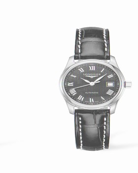 Longines Master Collection Date 29 Stainless Steel (L2.257.4.51.7)