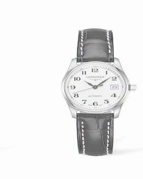 Longines Master Collection Date 29 Stainless Steel (L2.257.4.78.3)