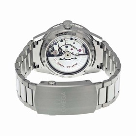 Omega Seamaster 300 Automatic Black Dial Stainless Steel Men's Watch 23330412101001