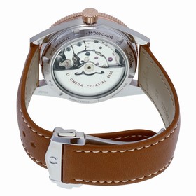 Omega Seamaster 300 Black Dial Brown Leather Men's Watch 233.22.41.21.01.002
