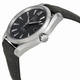 Omega Seamaster Aqua Terra Men's Watch 231.13.42.21.06.001