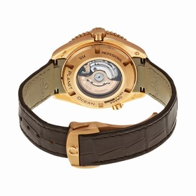 Omega Seamaster Planet Ocean Black Dial Black Leather Men's Watch 23263382001001