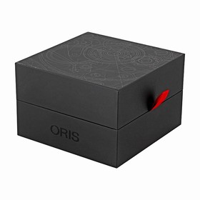 Oris Swiss Hunter Team PS Edition Automatic Grey Dial Stainless Steel Men's Watch 733-7629-4063LS