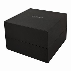 Rado Centrix Quartz Two-Tone Stainless Steel Men's Watch R30554103